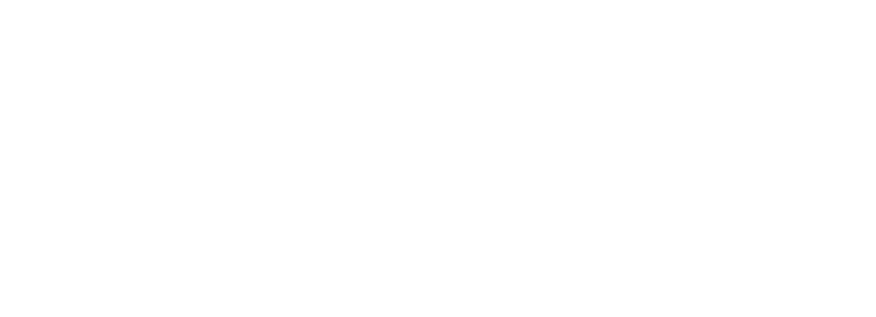 IDC - White Logo